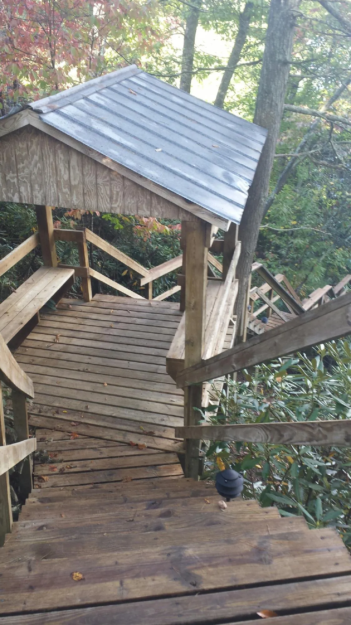 Metal roofed shelter over wooden steps on a wooded walkway — Skylight Repair & Installation work by our crew in Bazine